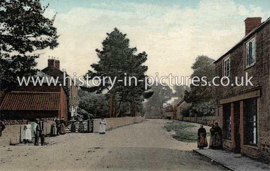 Main Road, Hackleton, Northants. c.1904.